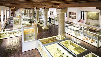 Von oben ist auf den Raum mit den vielen weißen Vitrinen fotografiert worden. Die Decke und der Fußboden sind aus dunklem Holz.