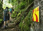 Im Vordergrund hängt ein Wanderschild des Altmühltal-Panoramaweges. Ein Wanderpärchen steigt die Treppen der Riedenburger Klamm hinauf.